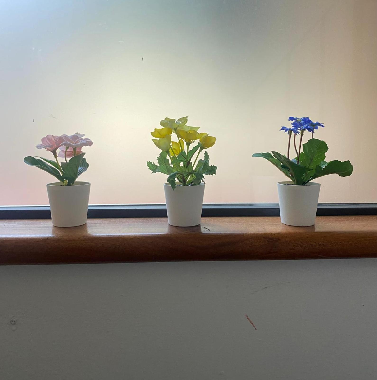 Appartamento Indipendente Con Giardino Fralu Florens Exteriör bild